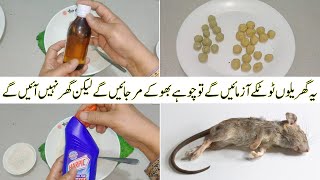 Chohay marne ka tarika  Chohain gher se Bhagane ka tarika  Homemade Rat  Mouse Killer Remedy [upl. by Asiar511]