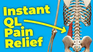 Release Your Tight QL Muscles Quick Back Pain Relief [upl. by Oznecniv]