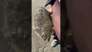 Catching flounder in duval county NAVY MONSTERHUNTERCEO fishingvideo FISH tv hiphop love [upl. by Abba252]