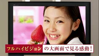 CMパナソニックPanasonic「ヒューマンビエラVIERA」小雪2007年 [upl. by Genni219]