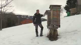 André Wermelinger  Warré Bienenhaltung in der Schweiz [upl. by Lambert]