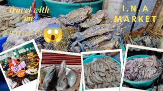 INA seafood market 🍤🦀🦑🐙🦞🦐 Delhi  travel  food🍲 [upl. by Gifford]