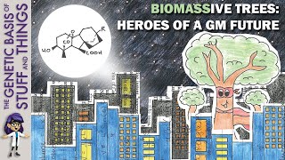 Gibberellin overexpression increases tree biomass The future of forestry [upl. by Tigram]