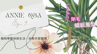 Annie老師QampA Ep9 English subtitle 畫作 剛毛蜻蜓鳳梨 Artwork Aechmea setigera｜課堂中聽不到的內容｜植物學藝術 [upl. by Friedly920]