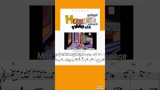 Mild High Club  Homage Piano ver [upl. by Neenahs883]