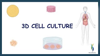 3D Cell Culture  3D Culture Techniques [upl. by Aifoz]