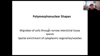 quotBuilding Polymorphonuclear Cellsquot by Dr Cornelis Murre [upl. by Nims]