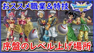 DQ3 HD2D版 これでOK！序盤のレベル上げ解説！おススメパーティ紹介と優秀な特技紹介！序盤の流れも紹介！ドラクエ3リメイク 攻略【メイルス】 [upl. by Burhans]