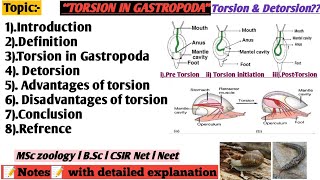 Torsion in gastropoda  Advantage of Torsion  Disadvantages of torsion [upl. by Bentlee228]