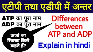 एटीपी तथा एडीपी में अन्तर  Differences between ATP and ADP  biology science sk [upl. by Dino]