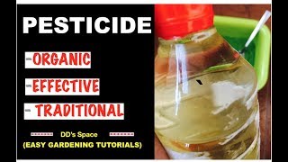 HOW to make Organic PESTICIDE at home POWERFUL MULTIPURPOSE EASY [upl. by Cletus]