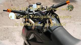 205 HP Honda Grom with a Ducati Panigale R engine is borderline [upl. by Clemente738]