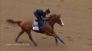 Belmont 2018 Justifys first gallop in New York [upl. by Retsim]