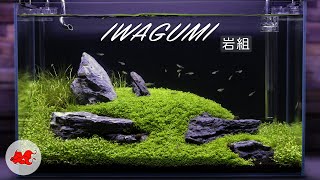 Iwagumi aquascaping 60l [upl. by Hedvig]