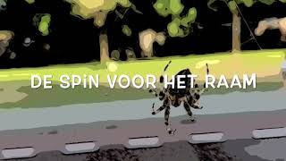 De spin voor het raam [upl. by Karlin]