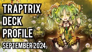 2ND PLACE Traptrix Deck Profile SEPT 2024 [upl. by Ativad]