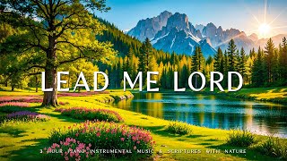 LEAD ME LORD  Instrumental Worship amp Prayer Music With Scriptures amp Nature 🌿 CHRISTIAN piano [upl. by Lledra]