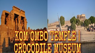 THE KOM OMBO TEMPLE  CROCODILE MUSEUM IN EGYPT [upl. by Thierry]