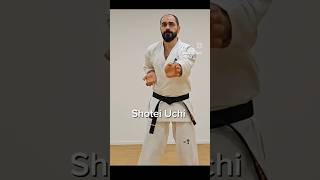 Shotei Uchi  Punches  Basic Technik ضربة اليد المفتوحة  Shotei  أساسيات الكيوكوشن كاراتيه 💪 [upl. by Fem]