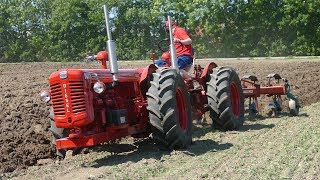 Tandem Tractors Working in The Field at Ferguson Days  Bukh Ferguson amp MF  DK Agri [upl. by Abil]