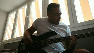 Dueño de mi silencio Jarabe de Palo Bass Cover [upl. by Sirromal721]