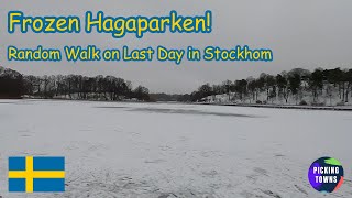 Ep 16  Ended Up at Frozen Hagaparken  Random Walk on Last Day in Stockholm  Stockholm Sweden [upl. by Dihgirb517]