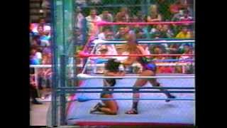 WWC Wendi Richter vs Sasha  Cage Match [upl. by Arotal]