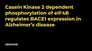 Casein Kinase 2 dependent phosphorylation of eIF4B regulates BACE1 expression in Alzheimer’s disease [upl. by Alian]