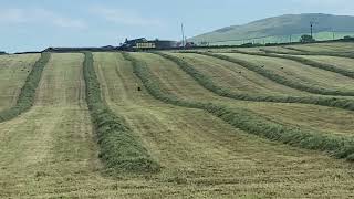 First cut silage at Drumraik farm 2024 [upl. by Anilam]