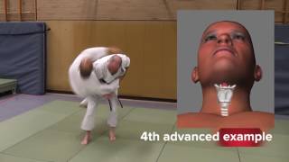 Heian Sandan Bunkai Trailer [upl. by Ahsitam]