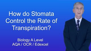 A Level Biology Revision quotHow do Stomata Control the Rate of Transpirationquot [upl. by Adelric183]