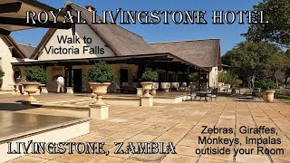 Royal Livingstone Hotel  Zambia  Victoria Falls July 13 2022 [upl. by Amsaj190]