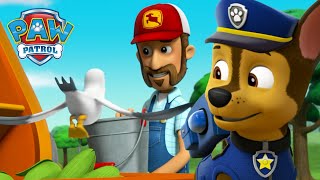 Pieski ratują silos na kukurydzę farmera Ala przed głodnymi ptakami Psi Patrol PAW Patrol po polsku [upl. by Arrakat]