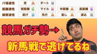 【ウマ娘】競馬ガチ勢ならアプリ未プレイでも適性と質問3つでキャラを当てられる！？3【ウマ娘クイズ】 [upl. by Eiramllij181]