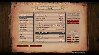 My hotkeys settings and mods for AoE2 DE [upl. by Esor]