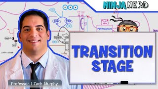 Metabolism  Transition Stage Preparatory Phase [upl. by Randolph]