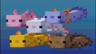 Minecraft ALL AXOLOTL SOUNDS  117 shorts [upl. by Yerffeg462]