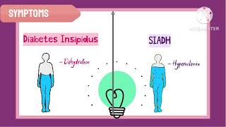 SIADH vs Diabetes Insipidus Hindi animation [upl. by Meneau538]