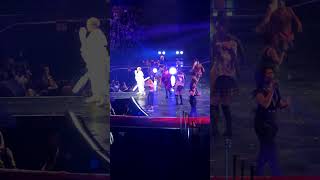 Pnk What About Us live Sydney 2018 Beautiful Trauma World Tour pink whataboutus [upl. by Singhal]