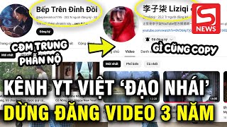 Netizen xứ Trung tố Youtuber Việt bắt chước Lý Tử Thất cả việc quotngừng đăng video trong 3 nămquot [upl. by Jezreel413]