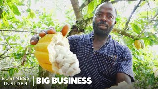 Ghana Grows Our Cocoa So Why Can’t It Make Chocolate  Big Business [upl. by Yrrat600]