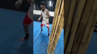 Muay Thai shin conditioning mma martialarts ufc onefc muaythai shin mmafighter [upl. by Lindsay]