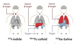 IAEAEANM webinar  Basic Radiopharmaceutical Dosimetry  Basic Nuclear Medicine webinars series [upl. by Merkle523]