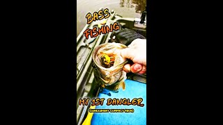 BASS FISHING  My 1st Dangler Lunkerhunt Compact Frog [upl. by Ahseiyn]