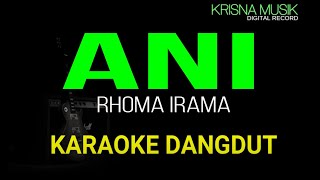 ANI KARAOKE DANGDUT ORIGINAL HD AUDIO [upl. by Ailgna]