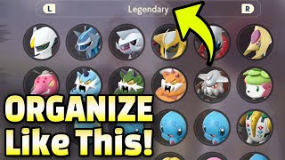 ✅ Organize Your Pastures LIKE A PRO in Pokemon Legends Arceus [upl. by Leahci]