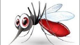 കൊതുകിനെ കൊല്ലണ്ട രീതി mosquito how to kill mosquito [upl. by Eaneg]