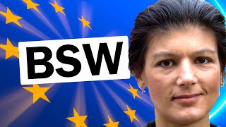 BSW Europawahlprogramm einfach erklärt  2024 [upl. by Hahsi679]