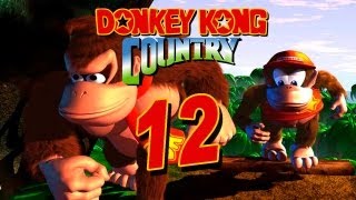 DONKEY KONG COUNTRY 🦍 12 Auf dem Spannungsmaximum [upl. by Sirtimed922]