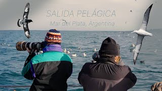 Salidas Pelágicas en Mar del Plata [upl. by Cressy]